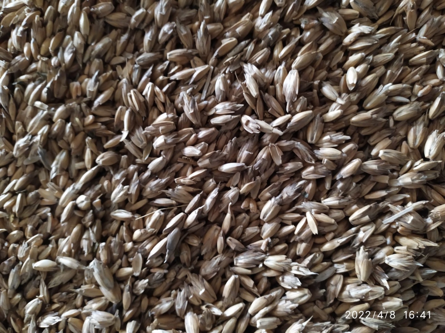 20 tons of ORGANIC UNCOOKED SPELT is sold