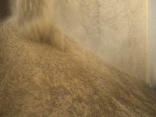 Hello, we buy NON-GMO soybeans all year round, please