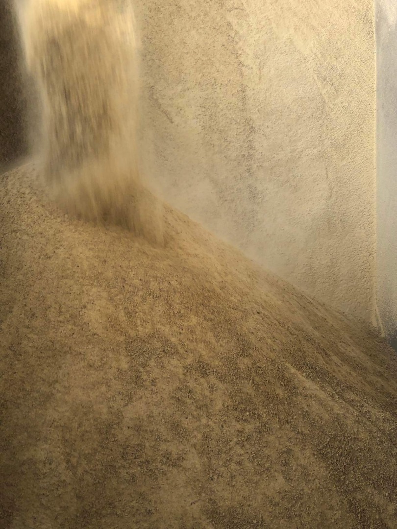 Hello, we buy NON-GMO soybeans all year round, please contact us