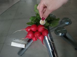 Valerie radish for sale, my own production. Price for