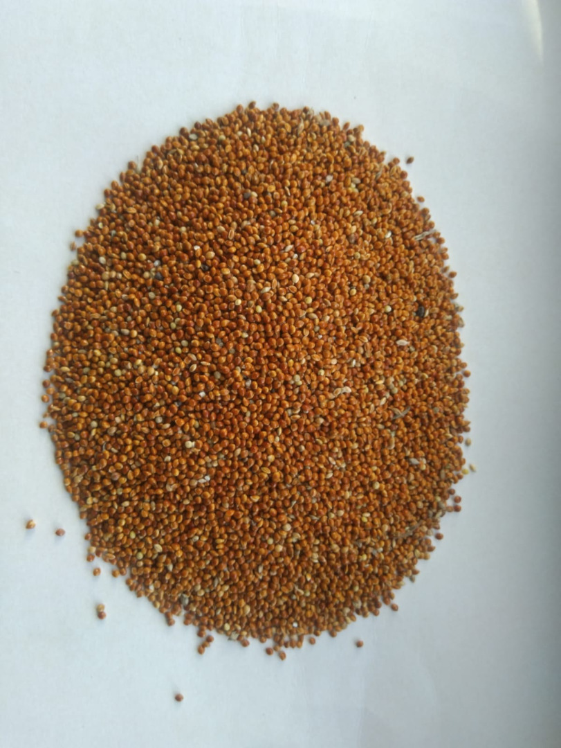 Kasza jaglana w plasterkach