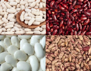 Beans Natur Product sells different varieties of quality beans