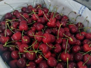 Dear Feinds , I offer you fresh cherry at