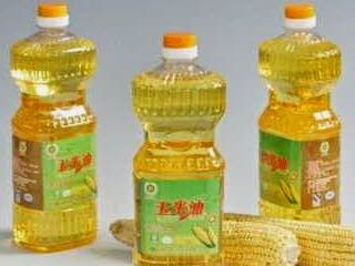 bulk corn oil Corn Oil is a type of