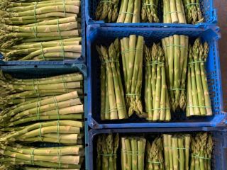 Verkauf von weißem und grünem Spargel. Palettenmengen. Gebündelt oder