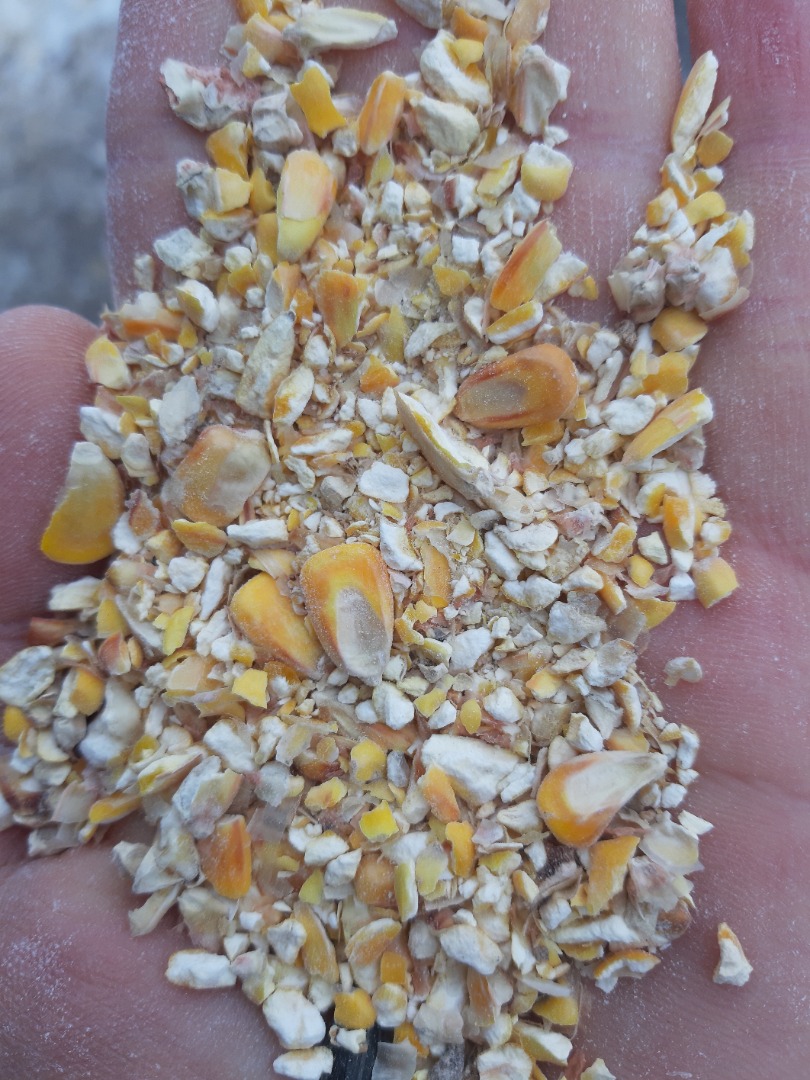 We are looking for a business partner for the export of grain waste from Ukraine by road