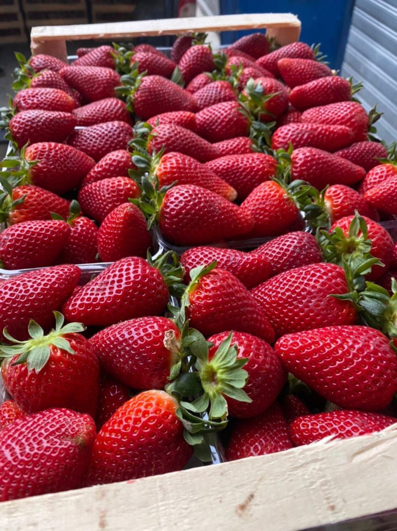 Strawberries from Albani