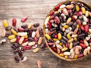 Beans Natur Product sells high quality beans of different