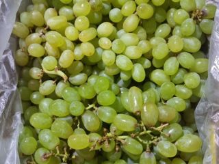 I will sell Grapes for juices, preserves, alcohols, etc.