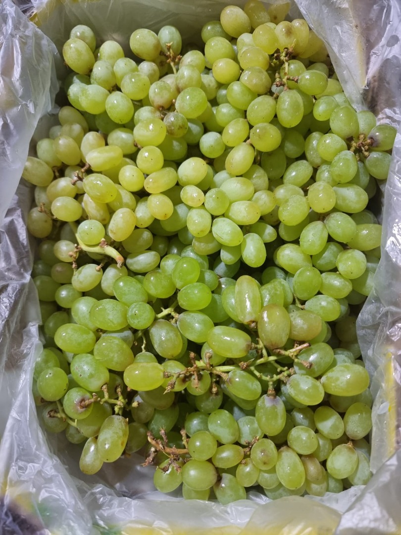 I will sell Grapes for juices, preserves, alcohols, etc