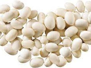 We buy white beans from farmers and the public.
