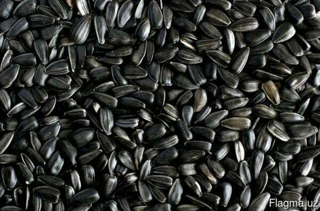 Sell sunflower seeds for oil production