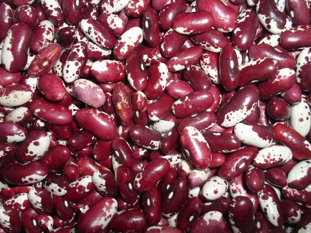 Beans Natur Product sells quality beans of various varieties