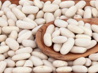 Beans Natur Product sells quality beans of various varieties.