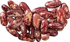 We sell high-quality beans with delivery across Ukraine, export is possible