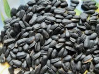 Selling seeds. The price is being discussed. Up to