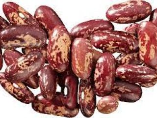Beans Natur Product sells quality beans of various varieties.