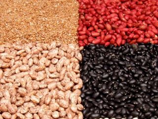 Beans Natur Product sells quality beans of various varieties.