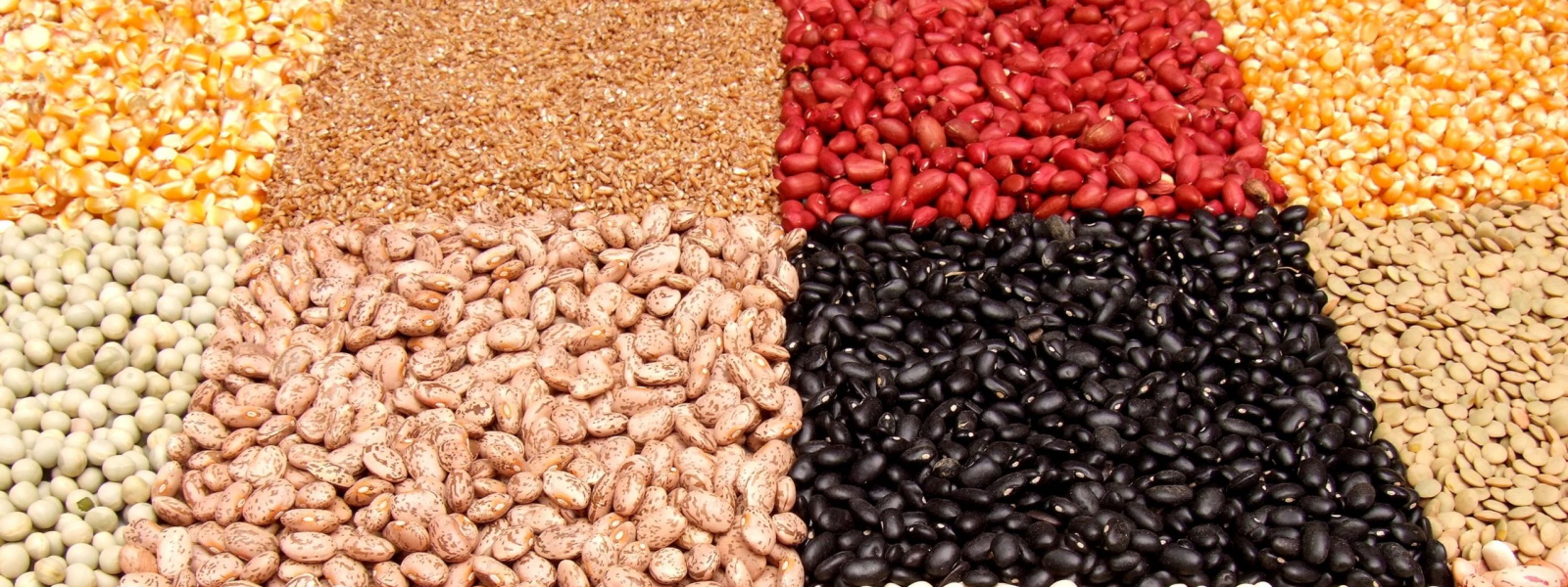 Beans Natur Product sells quality beans of various varieties