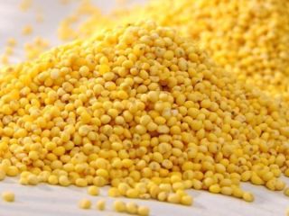 I am selling yellow millet. Cleanliness up to 98.5%,
