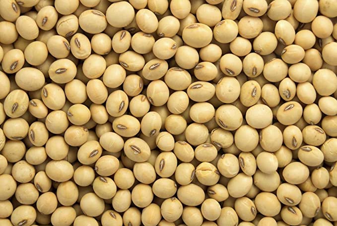 Premium Quality Soybean Seed at Wholesale Price We are one of the leading exporters of soybeans , food and breverages products