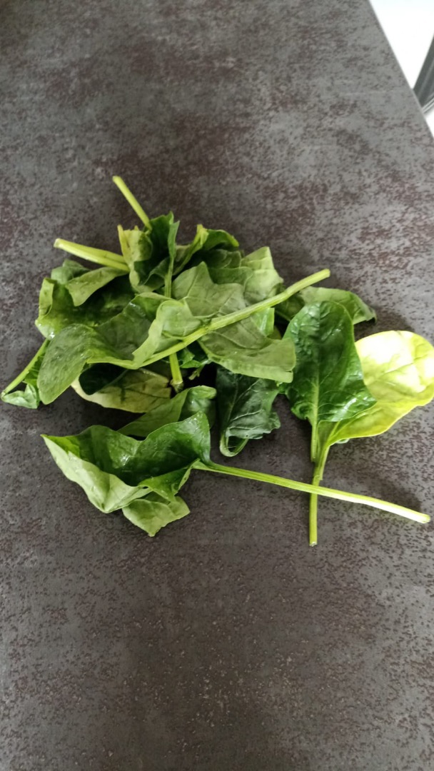 the sale of spinach, species dallas al bravo in the amount of 150 boxes, 5 kg per day