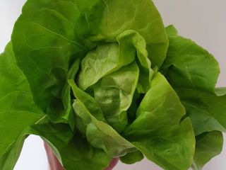 Classic Romanian salad - fixed price 1 leu /