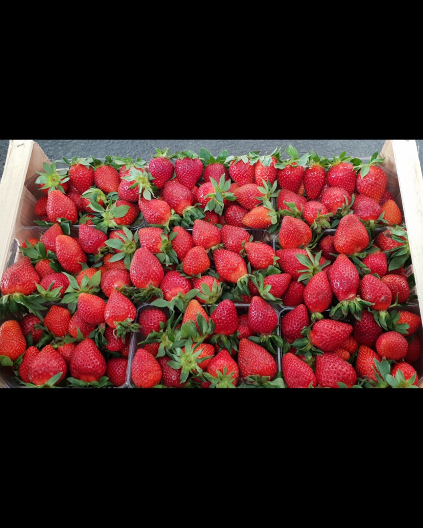 Victoria strawberries for sale