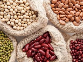 The Ukrainian company Beans Natur Product sells beans of