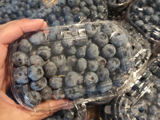 I am selling blueberries from July to September, five