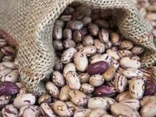The Ukrainian company Beans Natur Product sells beans of