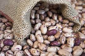 The Ukrainian company Beans Natur Product sells beans of different varieties