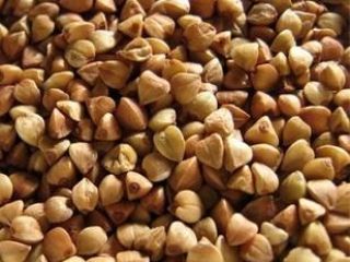 Buckwheat seeds wholesale. We sell buckwheat seed on a