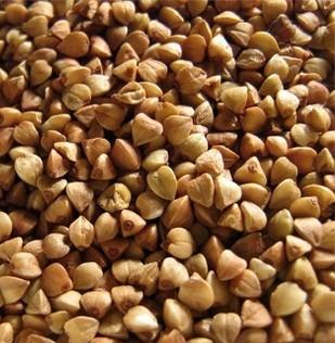 Buckwheat seeds wholesale