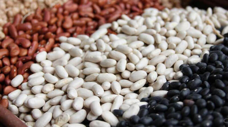 The company buys beans for processing