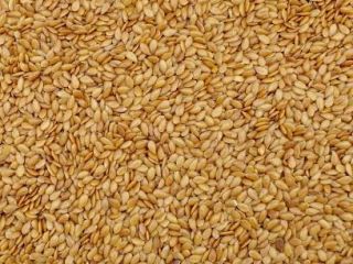 Sale of Ukrainian cereal products in large quantities: corn