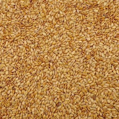 Sale of Ukrainian cereal products in large quantities: corn 11 35 PLN / t, sunflower 2732 PLN / t, 2 class wheat 1625 PLN / t, olive flax 4,792 PLN / t, peas