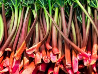 I will sell a raspberry rhubarb, about 8 tons.