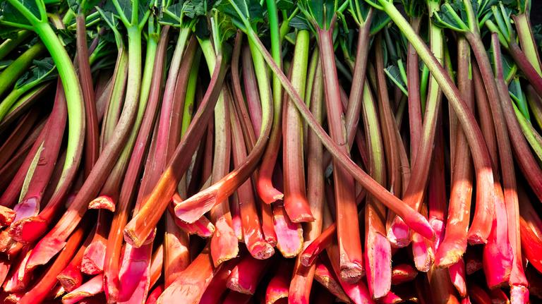 I will sell a raspberry rhubarb, about 8 tons