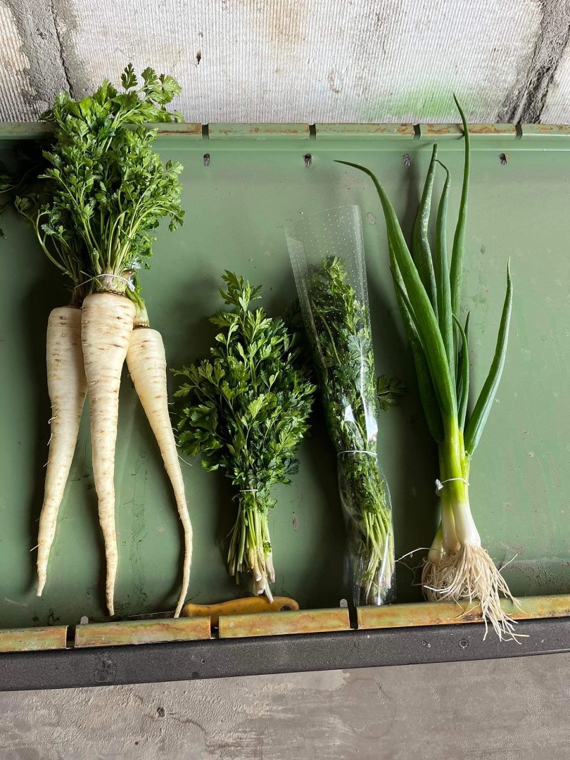 Fresh vegetables for sell FROM THE PRODUCER, onion, parsley, dill