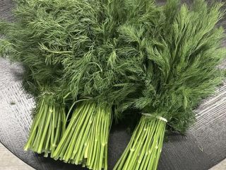 We have large quantities of fresh dill and parsley