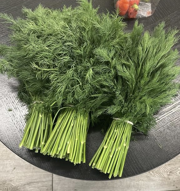 We have large quantities of fresh dill and parsley for sale