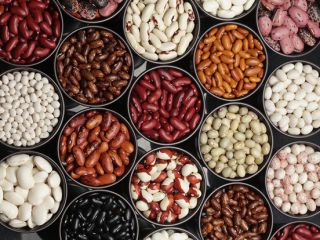 The company buys beans for processing. Any varieties and