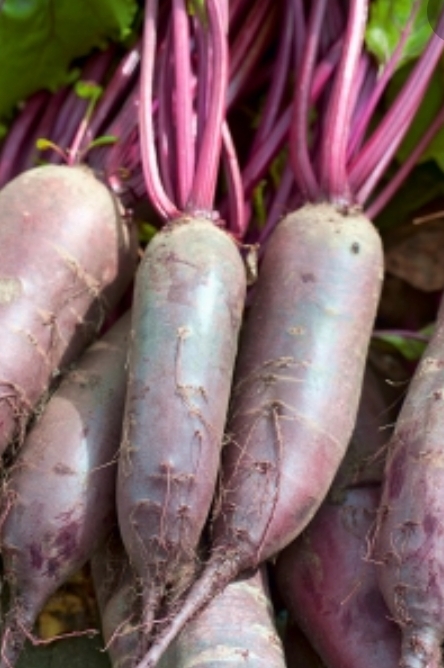 I will sell a large amount of beetroot alto variety!
