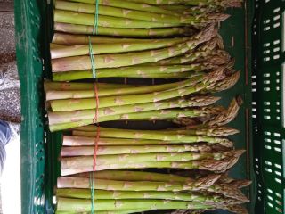 Ich verkaufe frischen grünen Spargel zu einem Großhandelspreis von
