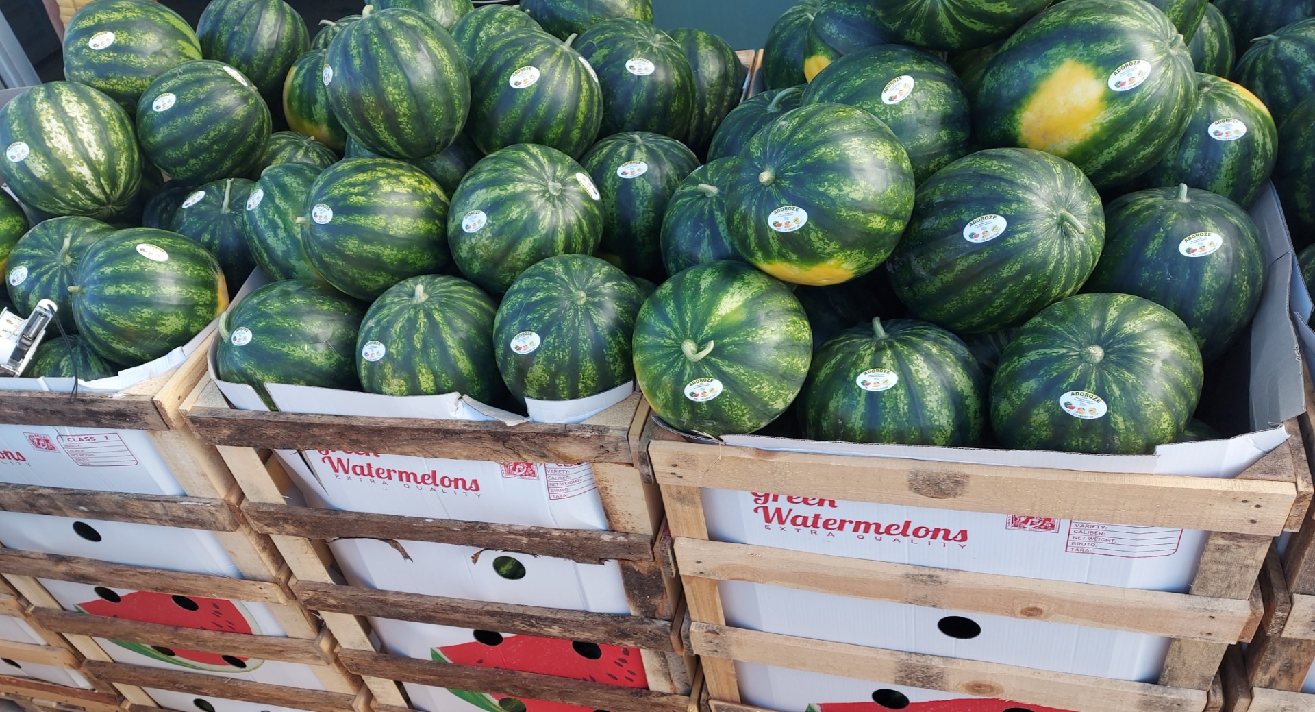 Fresh watermelon and melons