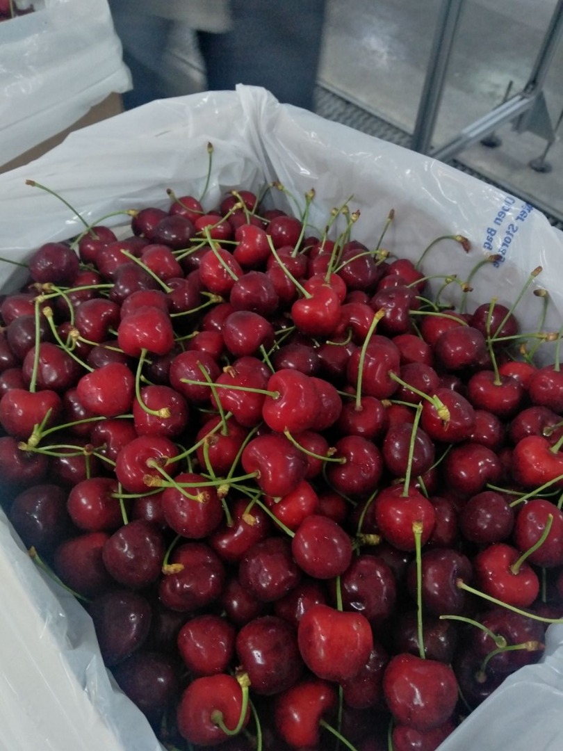 Dear Friends ,I offer you fresh cherry at compatative price