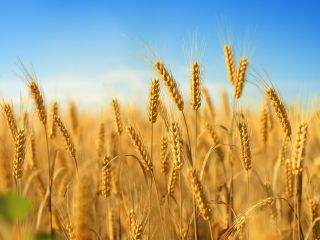 2023-2028 DELIVERY - THIS IS THE PRICE OF PRODUCTION