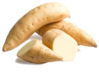 We Source our whitish dry fleshed sweet potatoes From