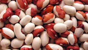 Beans for processing
